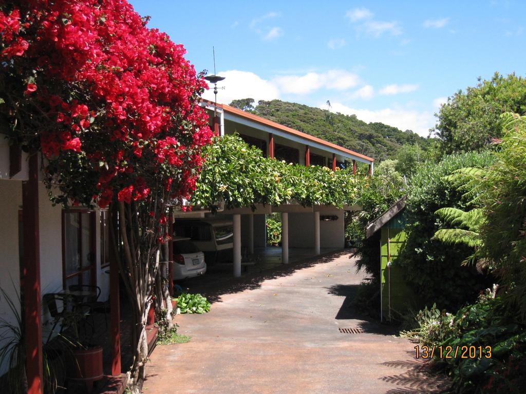 Alfa Boutique Motel Paihia Bagian luar foto